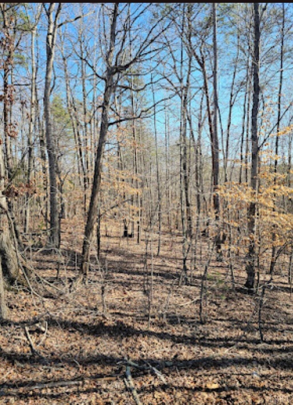 0 Red Oak Rd, Martinsville, VA 24112