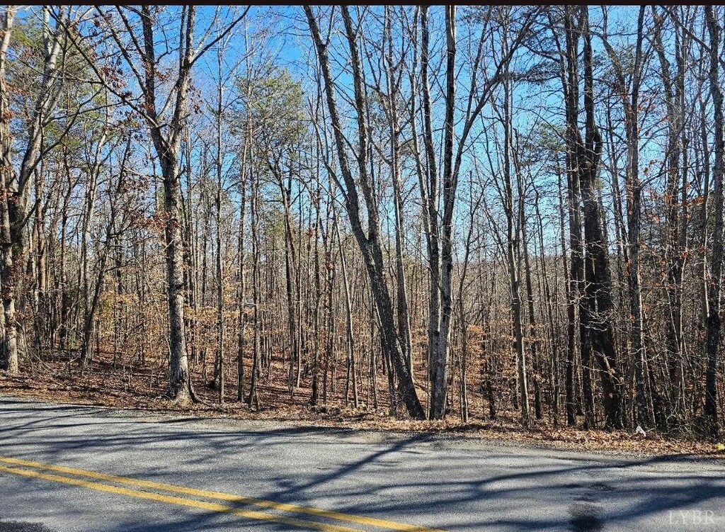 0 Red Oak Rd, Martinsville, VA 24112