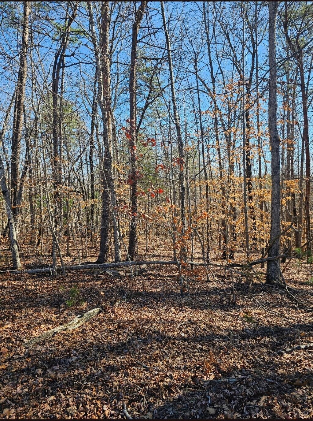 0 Red Oak Rd, Martinsville, VA 24112