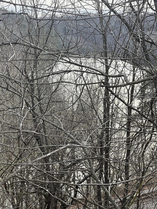 1 Bandy Mill Rd, Hardy, VA 24101