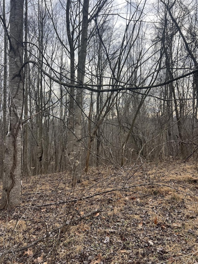 1 Bandy Mill Rd, Hardy, VA 24101