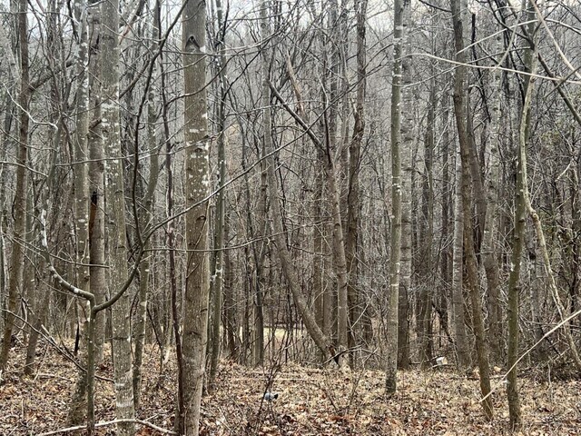 1 Bandy Mill Rd, Hardy, VA 24101