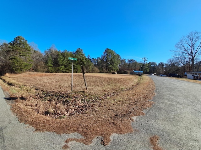 62 Hall Rd, Long Island, VA 24569 - photo 7