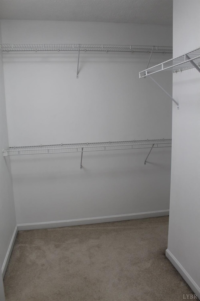 224 Duncraig Dr, Lynchburg, VA 24502 - spacious closet with carpet