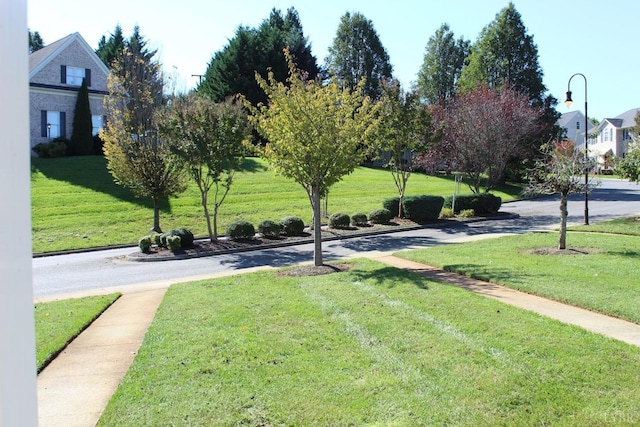 224 Duncraig Dr, Lynchburg, VA 24502 - view of green lawn