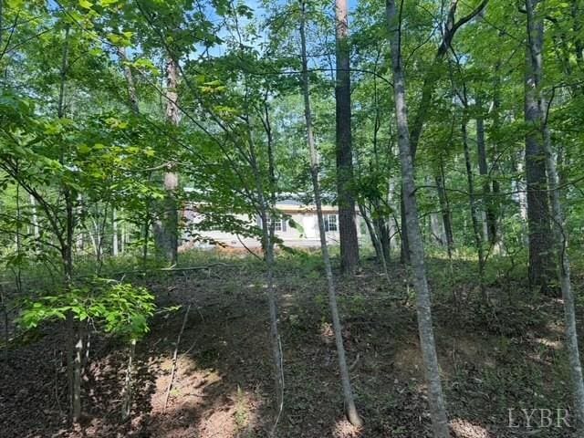 19 Cedar Bluff Ln, Hardy, VA 24101 - view of nature