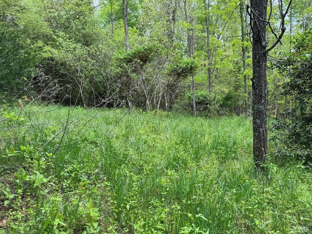 0 Dearborn Rd, Evington, VA 24550 - photo 5