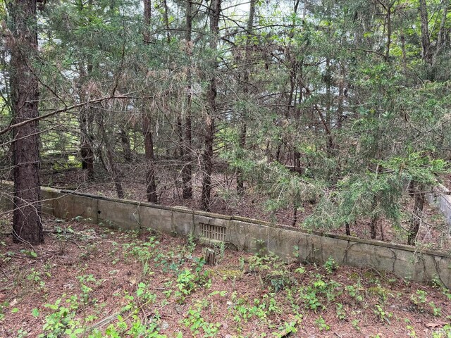 0 Dearborn Rd, Evington, VA 24550 - photo 4