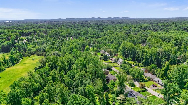 3756 Woodside Ave, Lynchburg, VA 24503 - aerial view of a forest