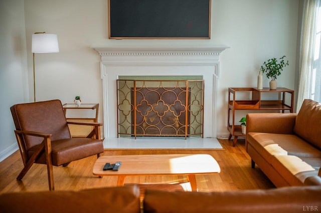 living area featuring a fireplace and wood finished floors