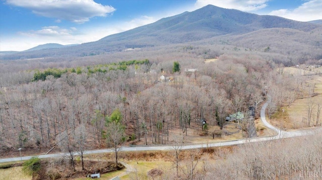 view of mountain backdrop with a heavily wooded area