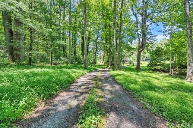 1338 Hunting Creek Rd, Big Island, VA 24526 - photo 48
