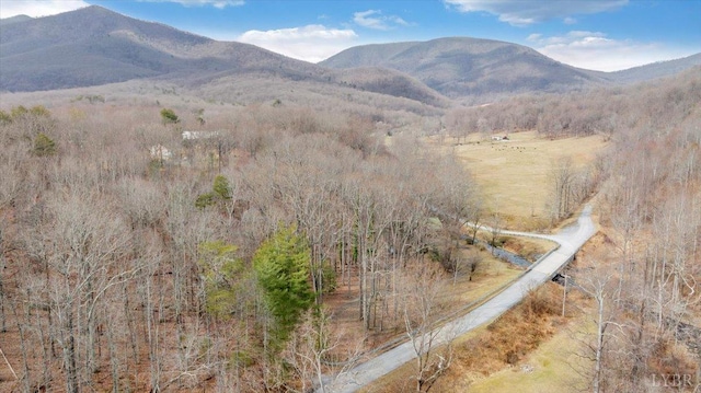 mountain view with a heavily wooded area