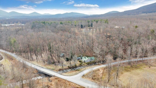view of mountain background with a heavily wooded area