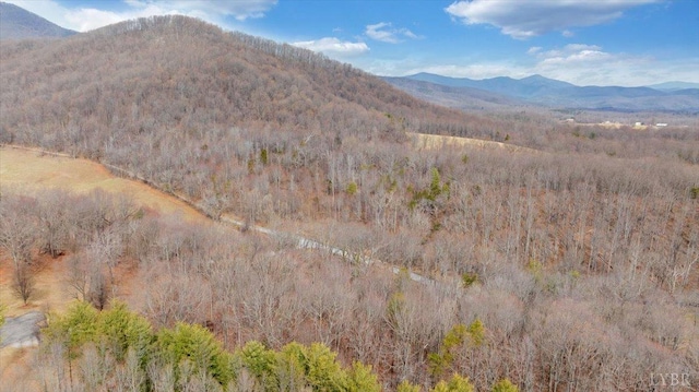 mountain view with a forest