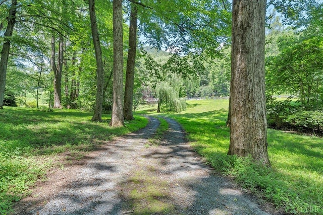 1338 Hunting Creek Rd, Big Island, VA 24526 - photo 49
