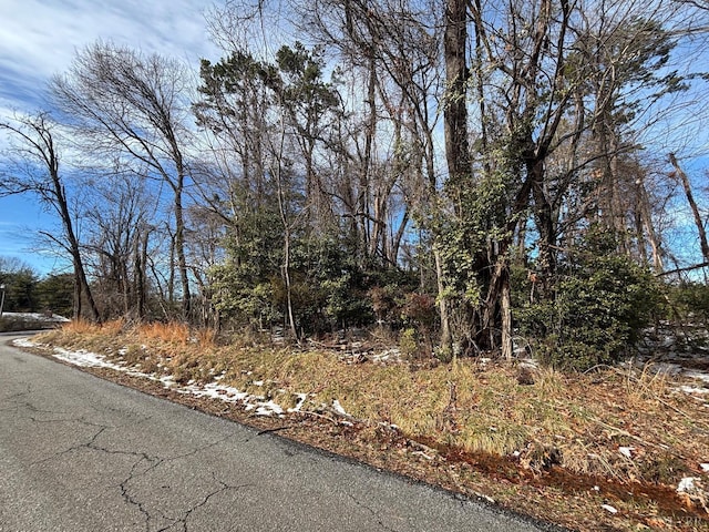 2908 Confederate Ave, Lynchburg, VA 24501
