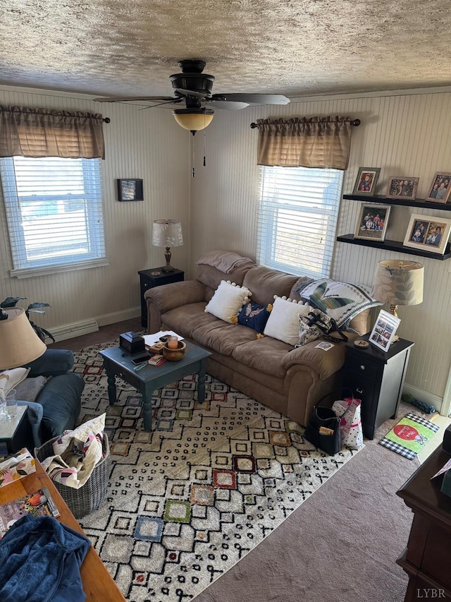 101 Mountain View Dr, Lynchburg, VA 24502 - living room with a wealth of natural light, a textured ceiling, baseboards, and carpet floors