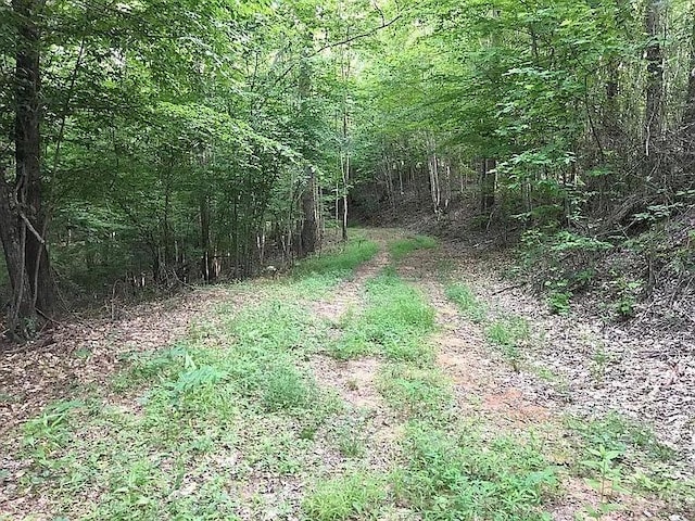 3171 Earley Farm Rd, Madison Heights, VA 24572 - photo 25