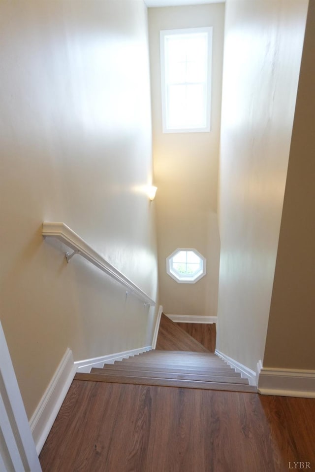 118 Logan Ln, Lynchburg, VA 24502 - photo 28