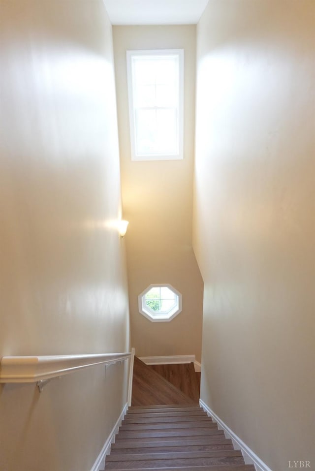 118 Logan Ln, Lynchburg, VA 24502 - photo 43