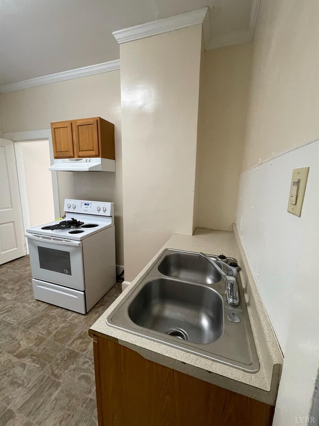 307 Stafford St, Lynchburg, VA 24501 - kitchen featuring under cabinet range hood, electric stove, a sink, crown molding, and brown cabinetry
