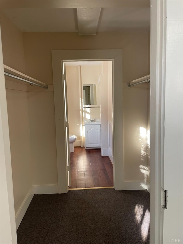 307 Stafford St, Lynchburg, VA 24501 - walk in closet with dark colored carpet and a sink