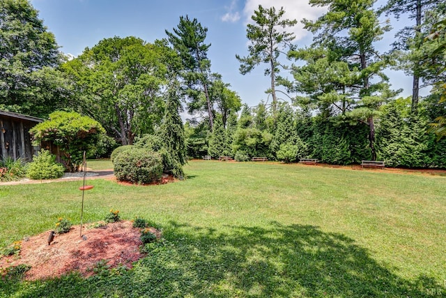 252 David Bruce Ave, Charlotte Court House, VA 23923 - photo 86