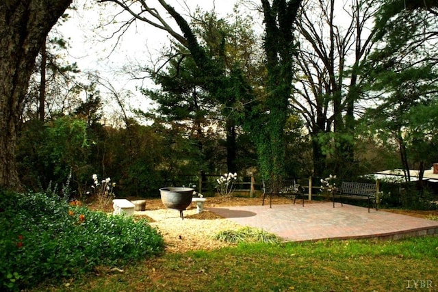 252 David Bruce Ave, Charlotte Court House, VA 23923 - photo 96