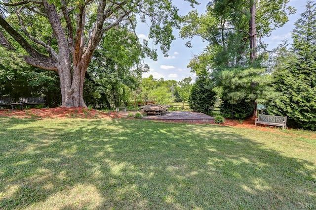 252 David Bruce Ave, Charlotte Court House, VA 23923 - photo 88