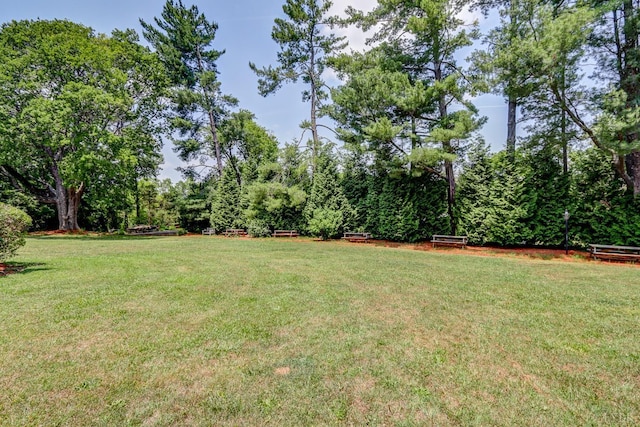 252 David Bruce Ave, Charlotte Court House, VA 23923 - photo 87