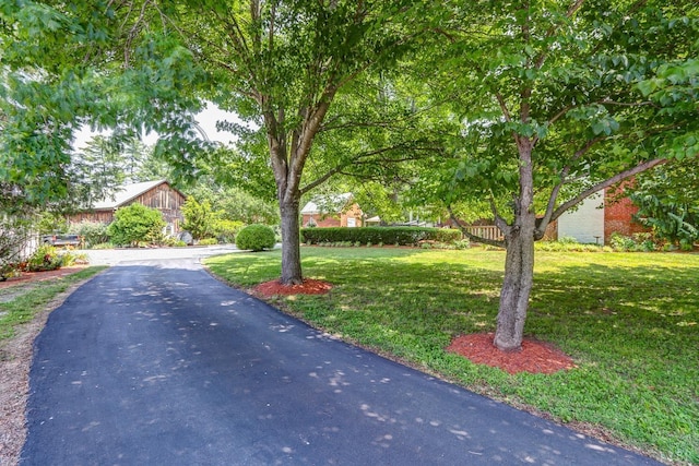 252 David Bruce Ave, Charlotte Court House, VA 23923 - photo 60