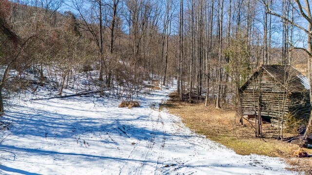 65 Lavender Ln, Amherst, VA 24521