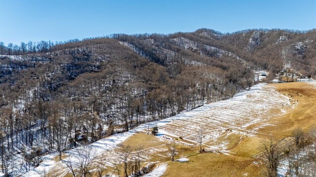 65 Lavender Ln, Amherst, VA 24521