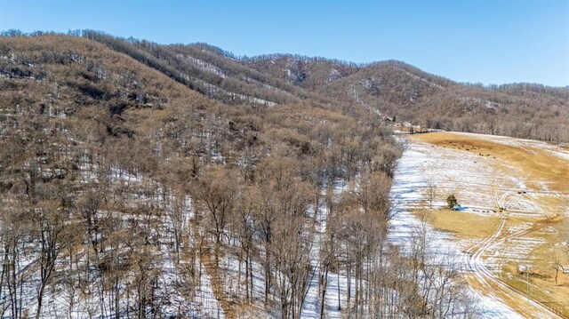 65 Lavender Ln, Amherst, VA 24521