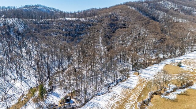 65 Lavender Ln, Amherst, VA 24521