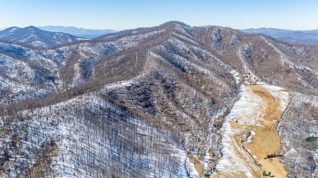 65 Lavender Ln, Amherst, VA 24521