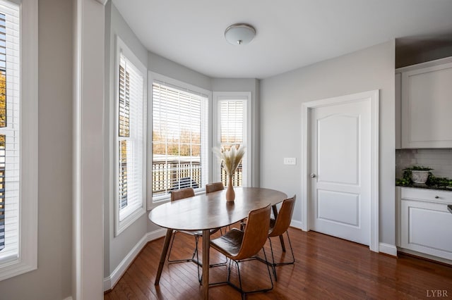 4802 Old Boonsboro Rd, Lynchburg, VA 24503 - dining room with dark wood-style floors, healthy amount of natural light, and baseboards
