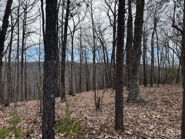 0 Nighthawk Rd, Lynchburg, VA 24504