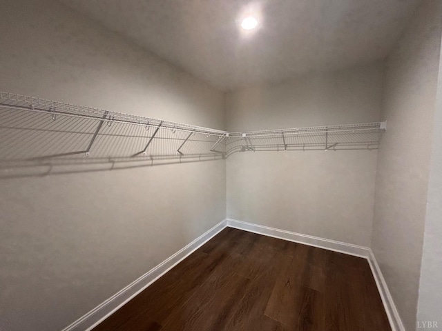 3 Live Oak Dr, Forest, VA 24551 - walk in closet with dark wood-style flooring