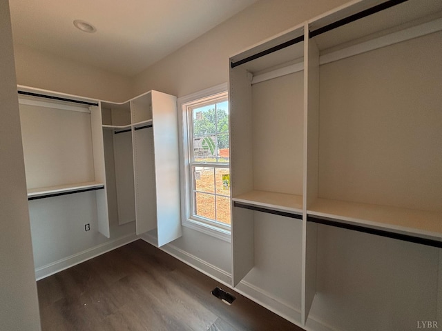 3 Live Oak Dr, Forest, VA 24551 - spacious closet featuring dark wood-style floors