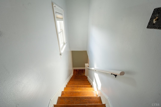 4610 Alabama Ave, Lynchburg, VA 24502 - photo 21