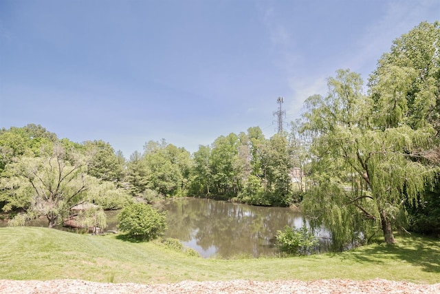 1926 Canterbury Ct Unit 301, Lynchburg, VA 24503 - property view of water