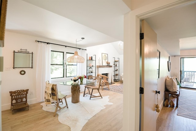 1926 Canterbury Ct Unit 301, Lynchburg, VA 24503 - interior space with baseboards, light wood-style flooring, and a fireplace