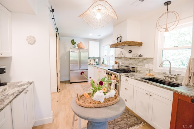 1926 Canterbury Ct Unit 301, Lynchburg, VA 24503 - kitchen with a sink, high end appliances, a wealth of natural light, and a barn door