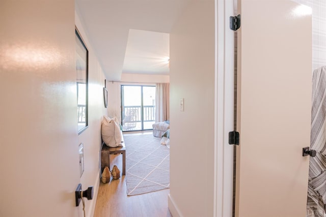 1926 Canterbury Ct Unit 301, Lynchburg, VA 24503 - hall featuring wood finished floors