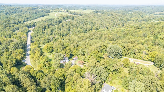 1038 Valencia Dr, Huddleston, VA 24101 - aerial overview of property's location with a heavily wooded area