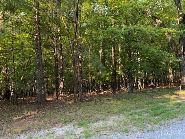 22 Woodshire Dr, Blue Ridge, VA 24064 - photo 1