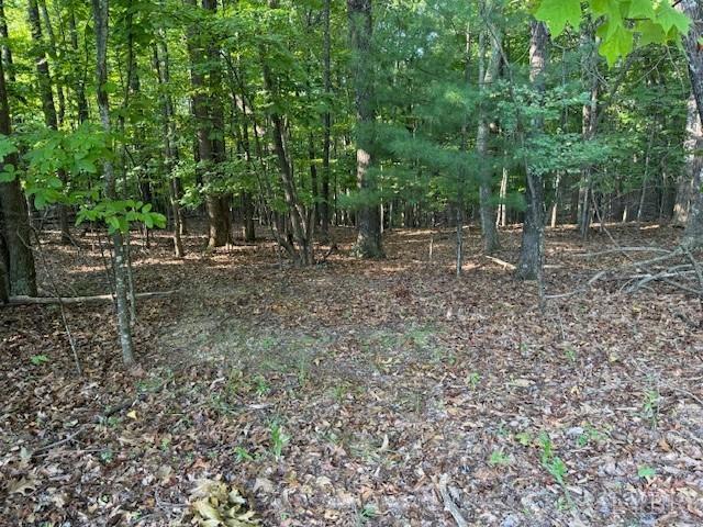 22 Woodshire Dr, Blue Ridge, VA 24064 - photo 7