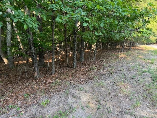 22 Woodshire Dr, Blue Ridge, VA 24064 - photo 8